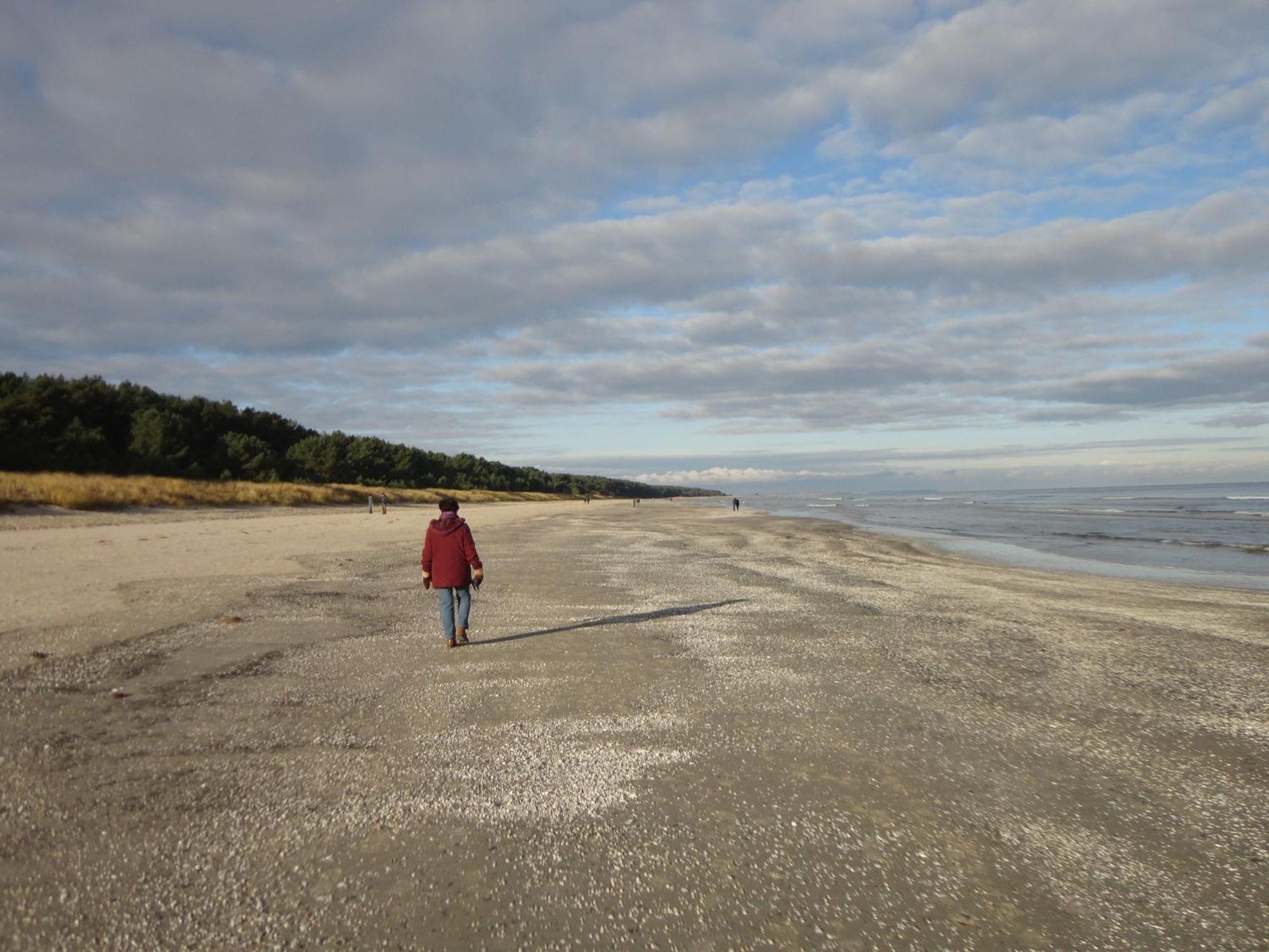 Ostseemuschel Karlshagen Exteriér fotografie