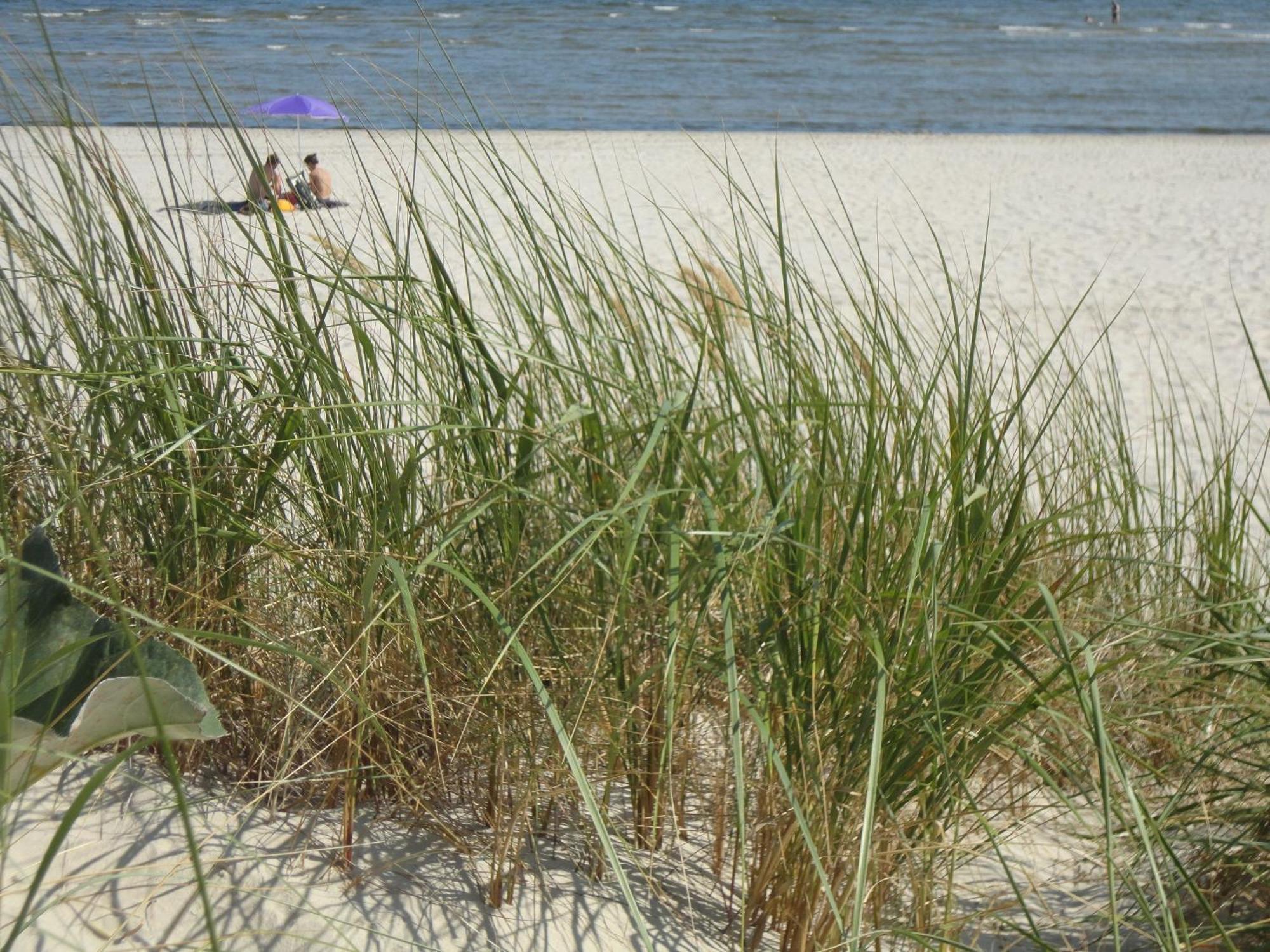 Ostseemuschel Karlshagen Exteriér fotografie